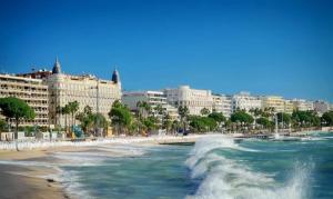 Cannes 1 bedroom apartment - M6