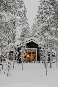 Kiilopää Lodge Lapland Cabin