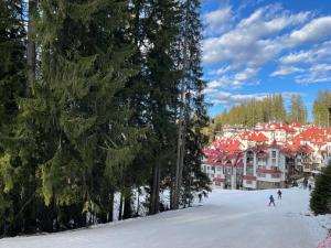 The Castle Mountain Apartments