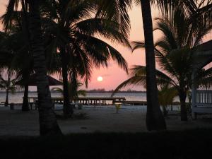 Sea Eye Hotel - Tropical Building
