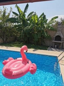 Villa Elif köycegiz