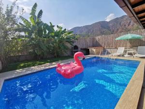 Villa Elif köycegiz