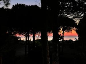 Seaside Villa with Private Yard on Adriatic Coast