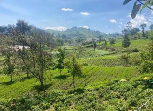 Golf Dale Holiday Resort