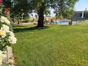 El Almendro del Cura - Villaseco de los Reyes