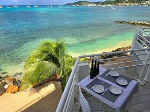 Infinity Ocean View - Saint-James