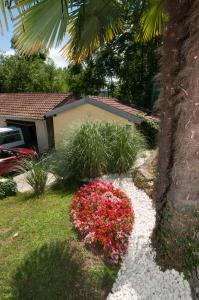 Apartments Ana 