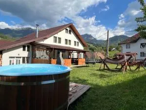 Milea's Guesthouse - Poarta