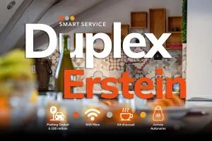 Duplex Spacieux et Moderne Au cœur de l Alsace - Erstein