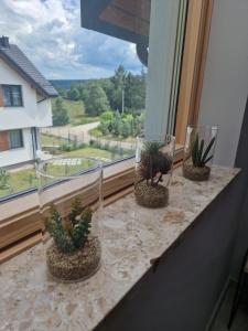 Apartamenty Bursztynowa