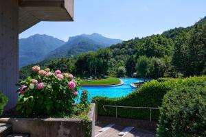 Stella Apartment on Lake Como