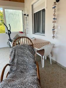 Seaside Apartment in Vergia