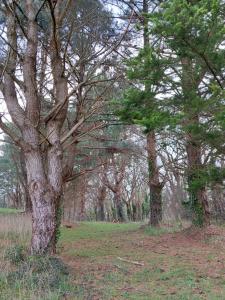 2p sur le golf de La Baule