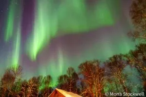 Susitna River Lodging, Suites - تالكيتنا