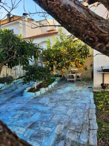 La Casetta Blue img15