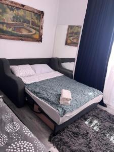 Ultra Central Piata Libertatii Apartment