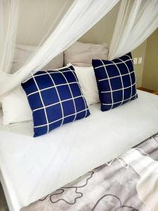 kingsland City Apartment 3