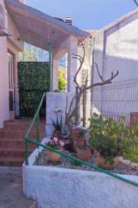 Apartments by the sea Sibenik - 23783