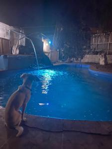 Amplia casa con piscina y vista al mar