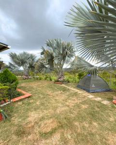 Casa Guanentina - Habitaciones familiares