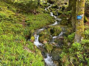 Appartements Spacieux appartement 3 chambres, proche ski et nature, WiFi, parking, animaux admis - FR-1-589-782 : Appartement