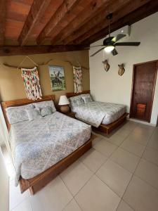 Penthouse on the shore of the pacific in Bucerias