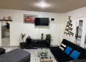 Departamento con terraza lobo