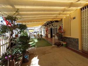 Lucid Dream Villa Homestay