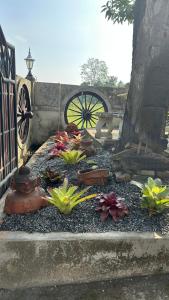 Boon Homestay & Cafe บุญโฮมสเตย์