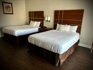 Standard Queen Room with Two Queen Beds room in Western Holiday Lodge