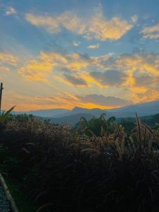 Rakkhao Inthanon Homestay