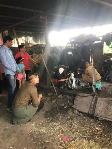 Ingawale farmhouse (agro tourism)