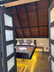 Cicadas Nature Resort - A Frame cottages