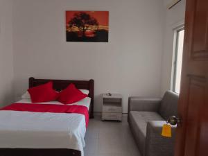 Hotel Zenit de colombia