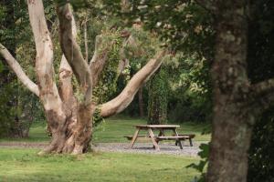 Shellstone by Wigwam Holidays