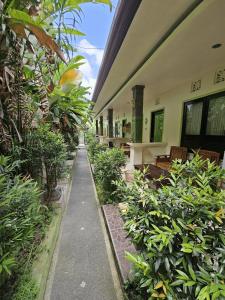 Classic House By Green View