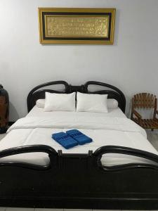 Moza House Near Alun-Alun Wonosobo