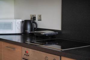 Modern Chelsea Bridge Apartment - Battersea Park View