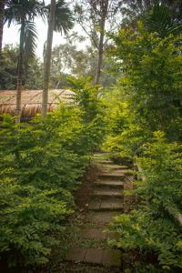 The Soul Marayoor Mudhouse - Munnar