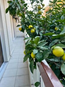 Cozy apt near the Acropolis