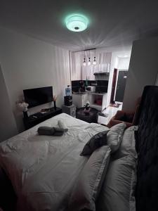 Luxore Apartments Syokimau No E311