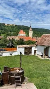 Castle View Holiday House - Saschiz