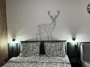 ApartamentPrzy TermachChochołowskich - Witów