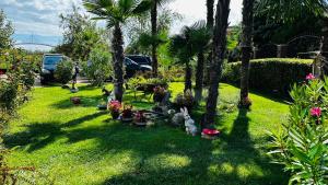 Chateau del Marina Apart Complex