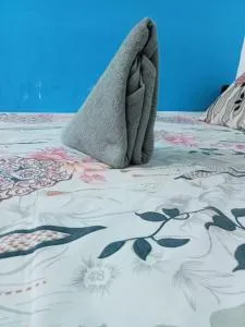 arambol om ganesh guest house - Arambol