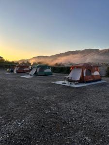 Tent Camping at Greenland Farm