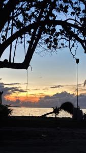 VelaaVani - Turtle Hive Dhiffushi