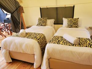 Camp Ayza Elementaita