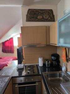 Апартамент-студио Б4-4-1 Божурленд