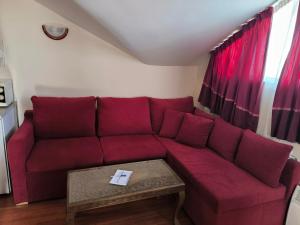 Апартамент-студио Б4-4-1 Божурленд